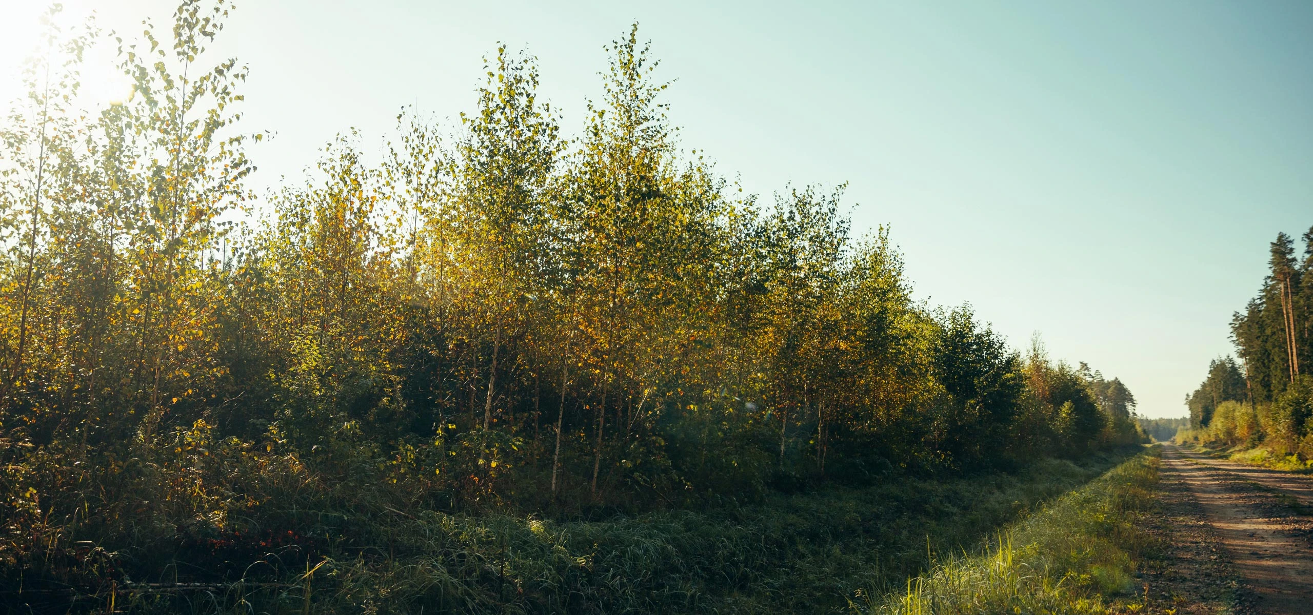 Purchase/removal of overgrowth
