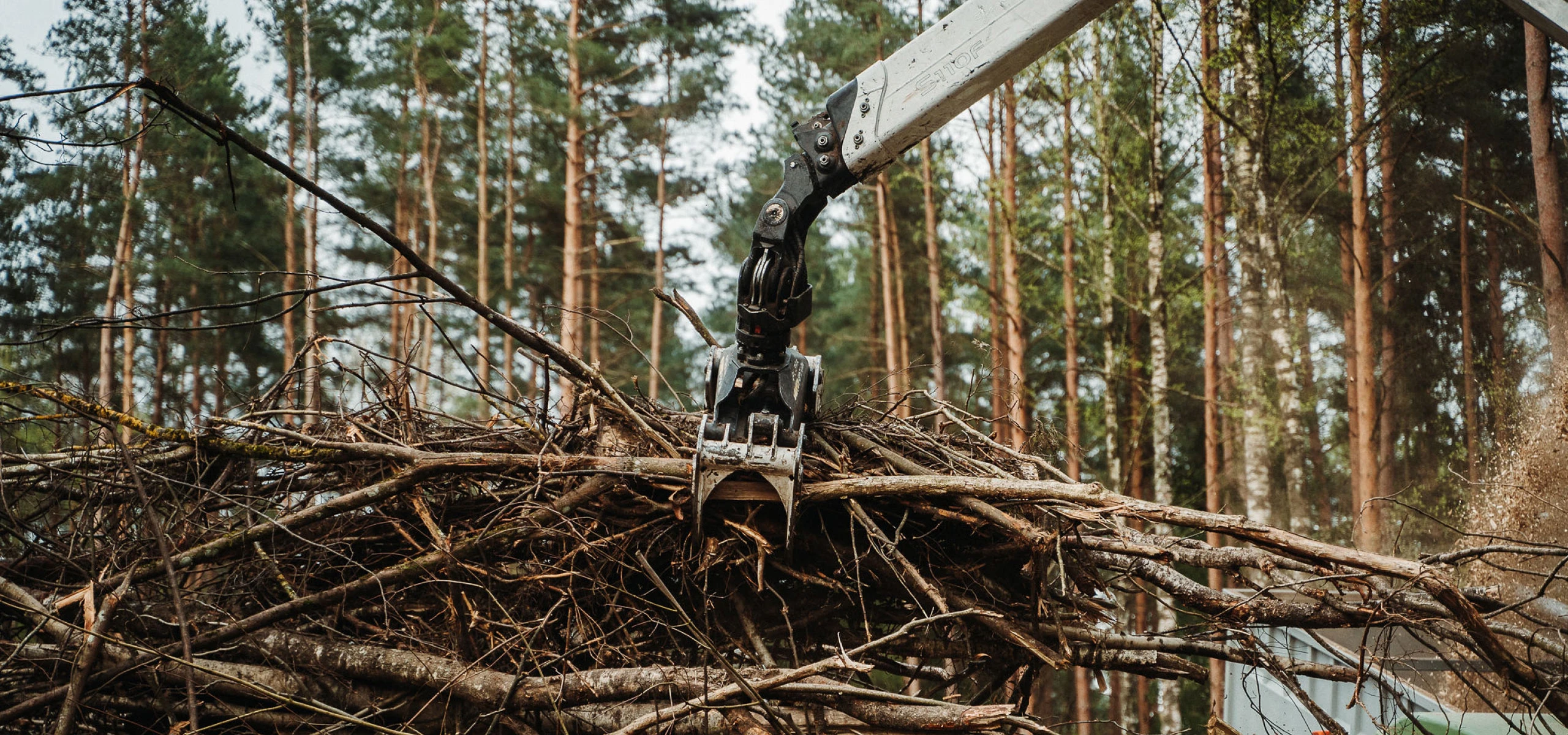 skelda energijas ostas